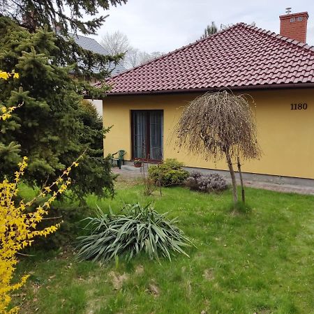 Appartamento Zielone Buki Buczkowice Esterno foto